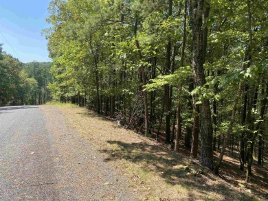 3.08 acres m/l on the quiet street of Hillside Trail in Harbor - photo 9