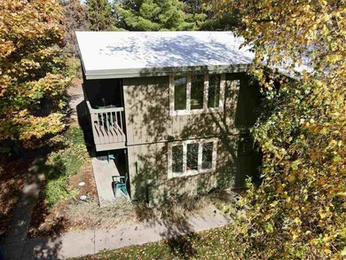 Lake Bellaire Condo For Sale in Bellaire Michigan