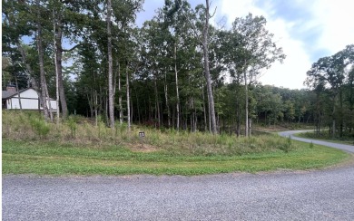 Coosawattee River - Gilmer County Lot For Sale in Ellijay Georgia