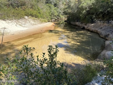 Lake Acreage For Sale in Vancleave, Mississippi