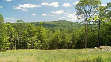 Pretty setting. Beautiful views. In a lakes region. A wonderful - Lake Acreage For Sale in Mount Vernon, Maine
