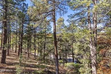 Celebrate summer in this move-in ready home walking distance to - photo 58