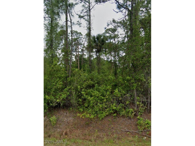 Lehigh Acres Area Lot For Sale in Lehigh Acres Florida