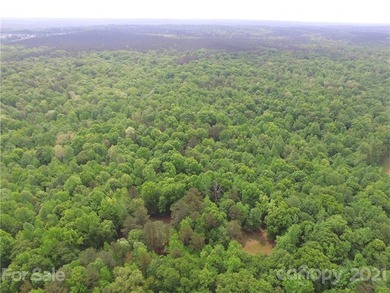 Own a piece of paradise along the Catawba River (114ac.) just - photo 10