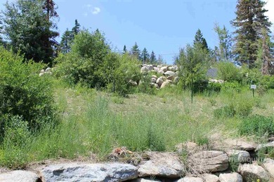 Engineer-Approved Foundation + Ready-to-Build Luxury Homesite - photo 28