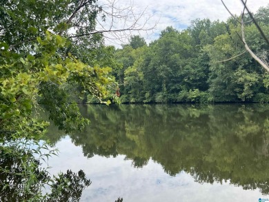 Lake Acreage For Sale in Bessemer, Alabama
