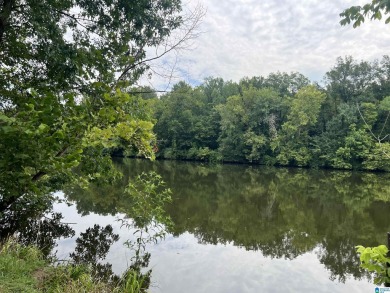 A RARE FIND- First time ever on the market. This water front - photo 3