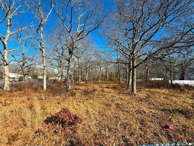 Discover Your Dream Home Site Near Fire Island National Seashore - photo 3