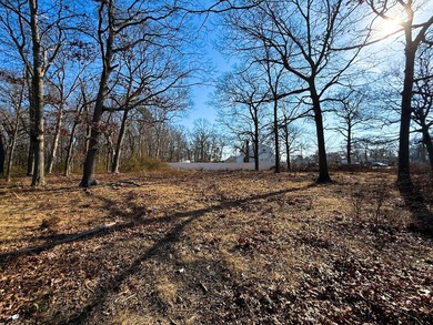 Discover Your Dream Home Site Near Fire Island National Seashore - photo 4