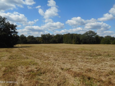 Lake Acreage For Sale in Yazoo City, Mississippi