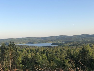 Beautiful lot overlooking Lake Maumelle, the foothills of the - photo 5
