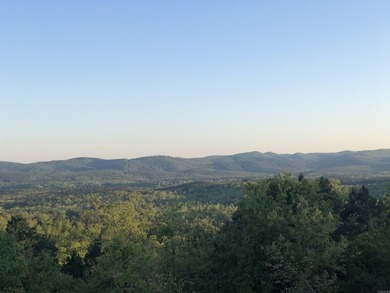 Beautiful lot overlooking Lake Maumelle, the foothills of the - photo 6
