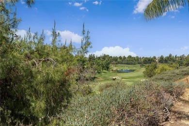 GOLF COURSE VIEW HOME in the gated Fairways community of Redhawk - photo 50