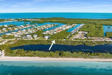 Rare opportunity to own an oversized half-acre (21,808 SF) dry - photo 2