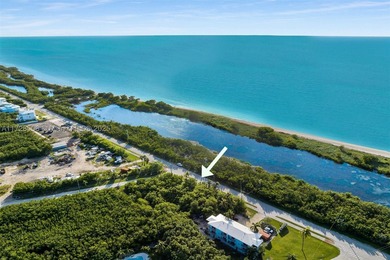 Rare opportunity to own an oversized half-acre (21,808 SF) dry - photo 4