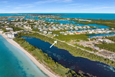 Rare opportunity to own an oversized half-acre (21,808 SF) dry - photo 6