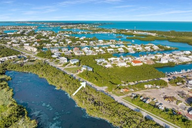 Rare opportunity to own an oversized half-acre (21,808 SF) dry - photo 7