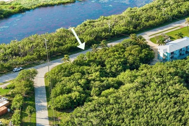 Rare opportunity to own an oversized half-acre (21,808 SF) dry - photo 9