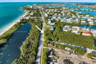 Rare opportunity to own an oversized half-acre (21,808 SF) dry - photo 10