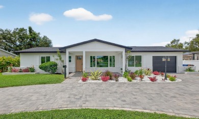 (private lake, pond, creek) Home Sale Pending in St. Petersburg Florida