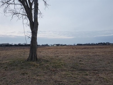 Lake Tawakoni Lot For Sale in Point Texas
