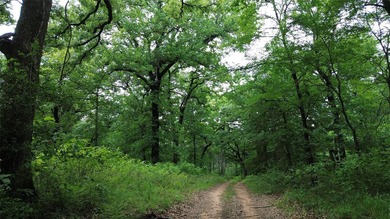 442 acres of premier hunting and recreational land in Navarro - photo 11