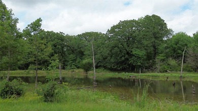 442 acres of premier hunting and recreational land in Navarro - photo 12