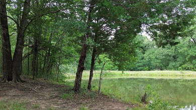 442 acres of premier hunting and recreational land in Navarro - photo 13