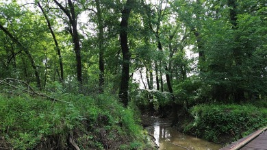 442 acres of premier hunting and recreational land in Navarro - photo 14