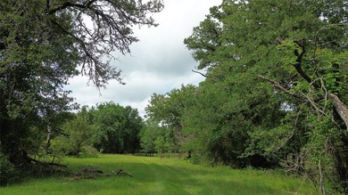 442 acres of premier hunting and recreational land in Navarro - photo 15