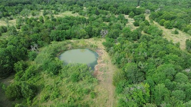 442 acres of premier hunting and recreational land in Navarro - photo 16