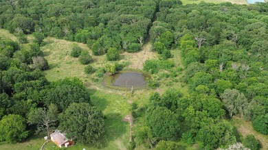442 acres of premier hunting and recreational land in Navarro - photo 17