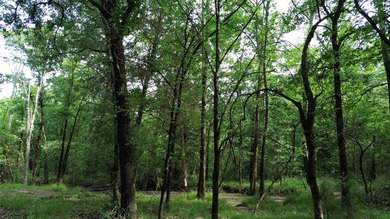 442 acres of premier hunting and recreational land in Navarro - photo 18