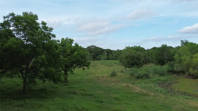 442 acres of premier hunting and recreational land in Navarro - photo 19