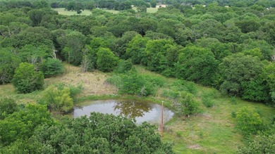 442 acres of premier hunting and recreational land in Navarro - photo 20