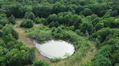 442 acres of premier hunting and recreational land in Navarro - photo 21