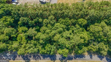 Looking for the perfect place to build your dream home? Look no - photo 2