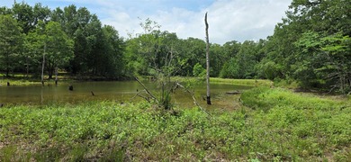 442 acres of premier hunting and recreational land in Navarro - photo 26