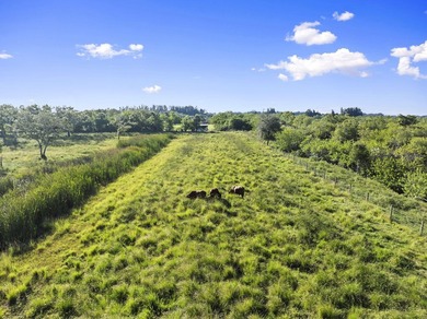 Experience the ultimate blend of luxury living and equestrian - photo 28