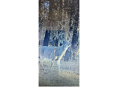 442 acres of premier hunting and recreational land in Navarro - photo 31