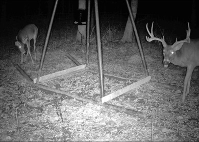 442 acres of premier hunting and recreational land in Navarro - photo 33