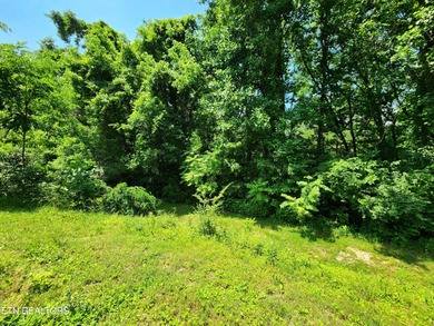 Unrestricted 1.35 Acre Lot - City Convenience with a Country - photo 8