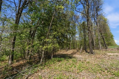 Development potential on 40 acres in a Bentonville address, with - photo 2