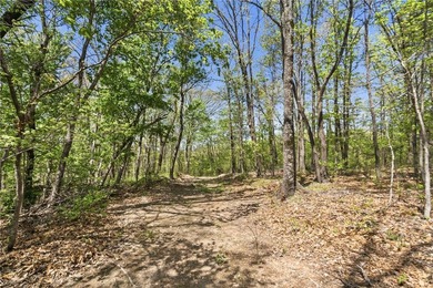 Development potential on 40 acres in a Bentonville address, with - photo 3