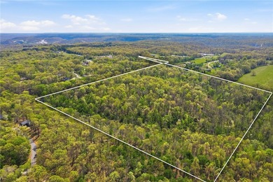 Development potential on 40 acres in a Bentonville address, with - photo 4