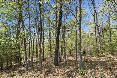 Development potential on 40 acres in a Bentonville address, with - photo 8