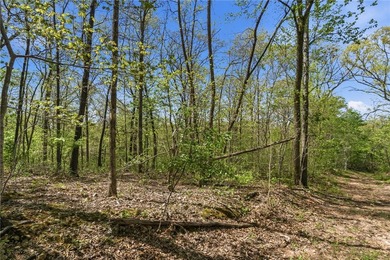 Development potential on 40 acres in a Bentonville address, with - photo 10