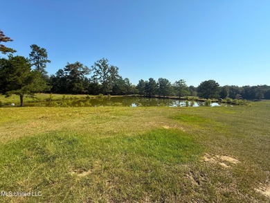(private lake, pond, creek) Acreage For Sale in Mccomb Mississippi
