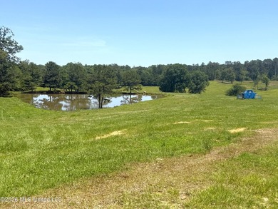116 acres of land for sale in North Pike School District - photo 2