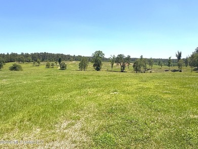 116 acres of land for sale in North Pike School District - photo 3